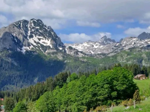 Prodaja, plac, 4406m², Pitomine, Žabljak - image 1