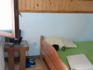 Prodaja, ugostiteljski objekat, 1500m², Varvarin, Srbija - image 32