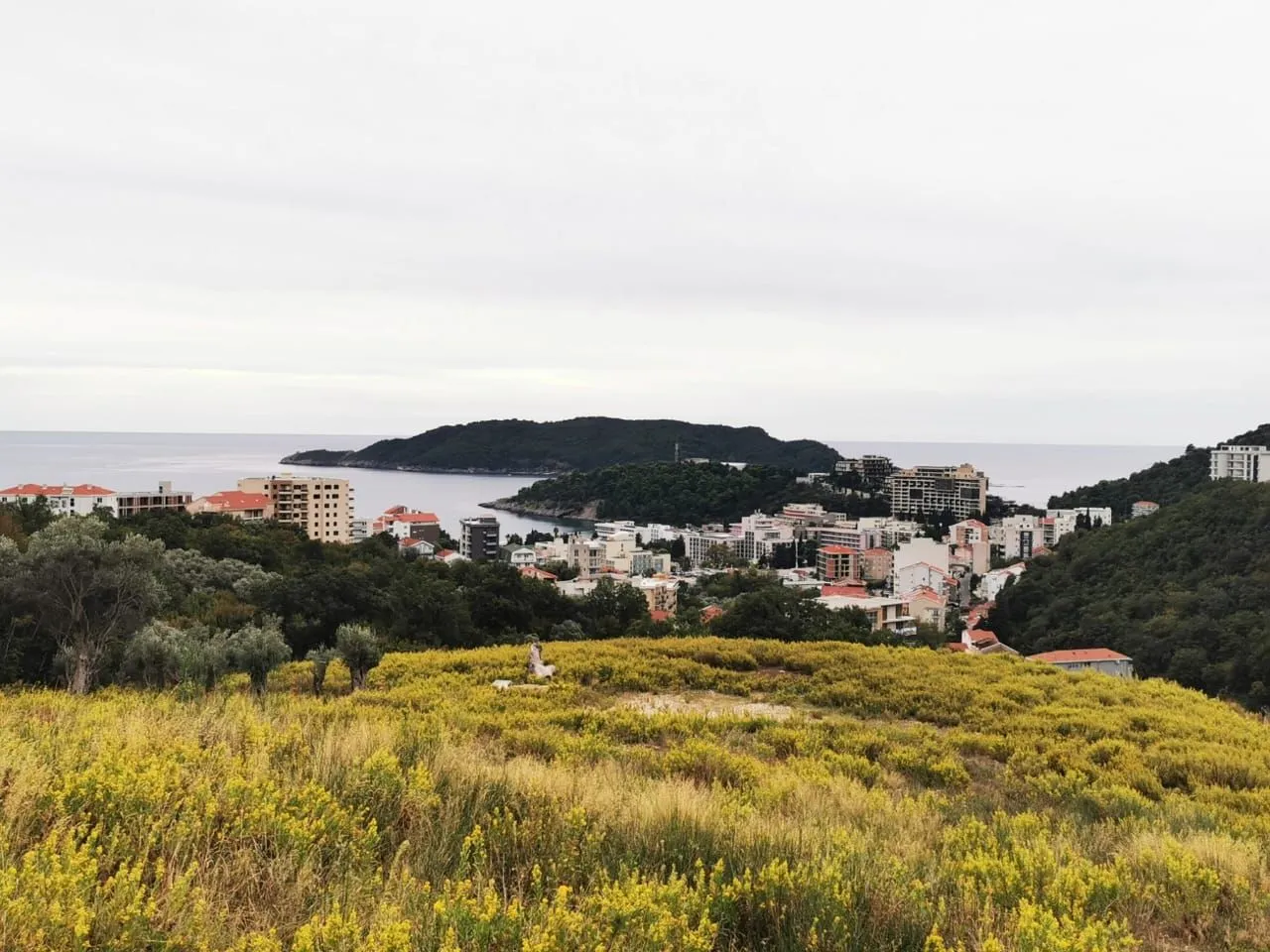 Prodaja, plac, 9417m², Maine, Budva