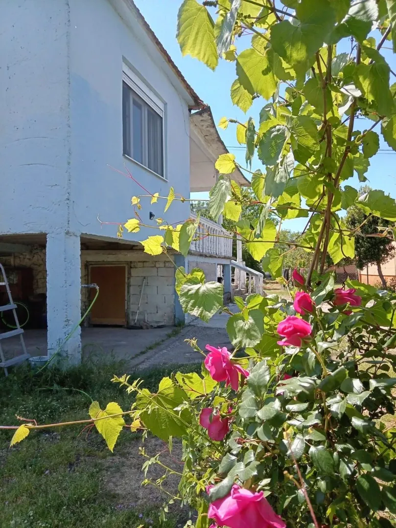 Pogled na spoljašnjost kuće sa dvorištem i zelenilom.