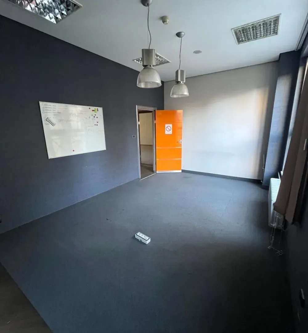 Izdavanje, poslovni prostor, 201m², Botanička Bašta, Palilula Sve Podlokacije