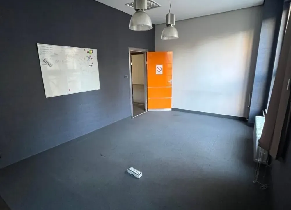 Izdavanje, poslovni prostor, 201m², Botanička Bašta, Palilula Sve Podlokacije