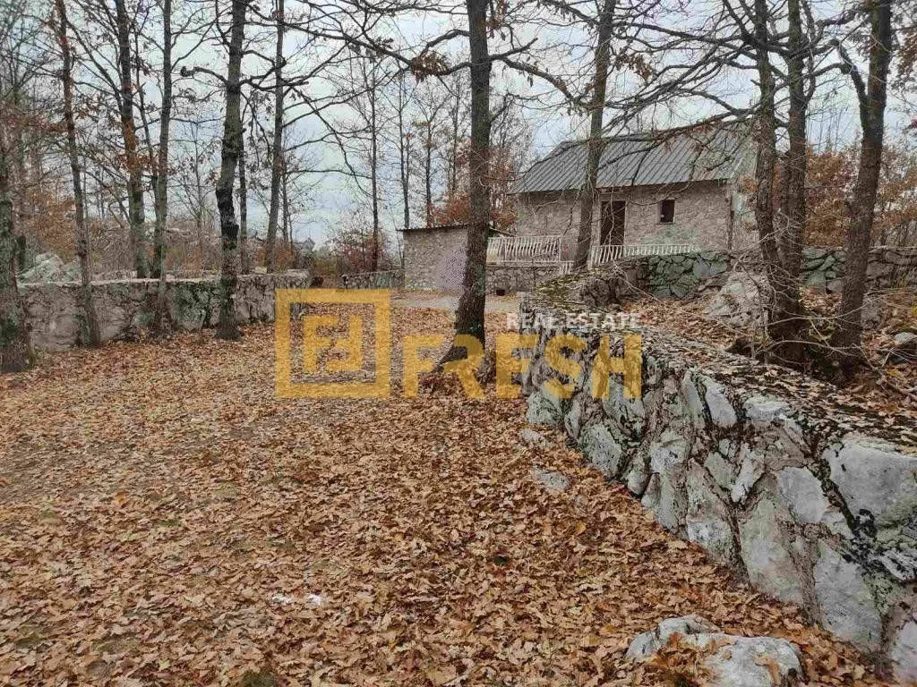 Prodaja, plac, 68000m², Kuče, Podgorica