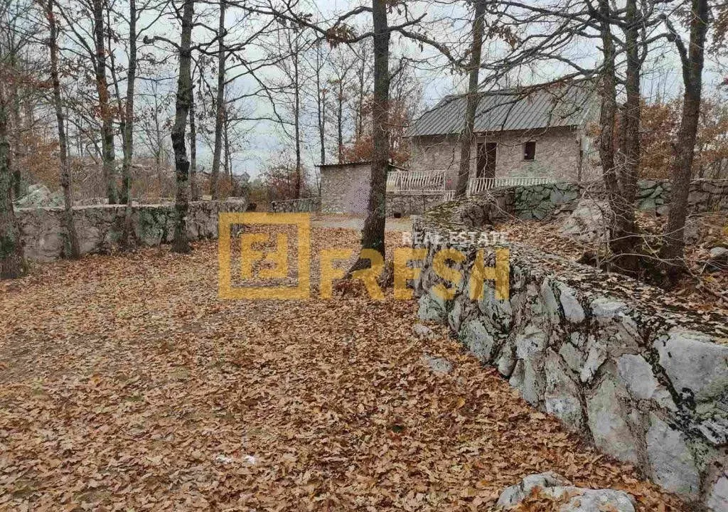 Sale, land lot, 68000m², Kuče, Podgorica