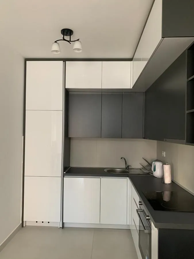 Izdavanje, jednosoban stan, 46m², Zabjelo, Podgorica