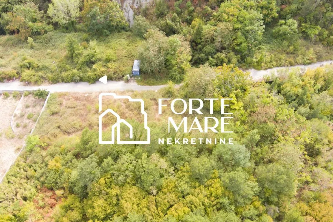 Pogled iz vazduha na zemljište obraslo zelenilom i drvećem.