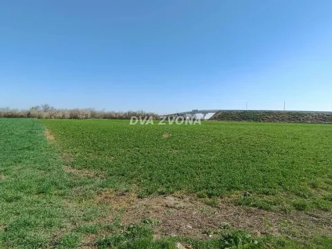 Prodaja, plac, 5100m², Centar, Inđija - image 3