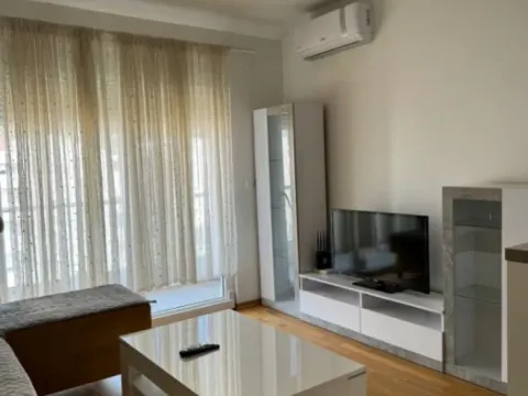 Izdavanje, garsonjera, 30m², Ljubović, Podgorica - image 3