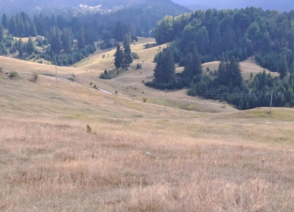 Prodaja, plac, 32700m², Krš, Žabljak