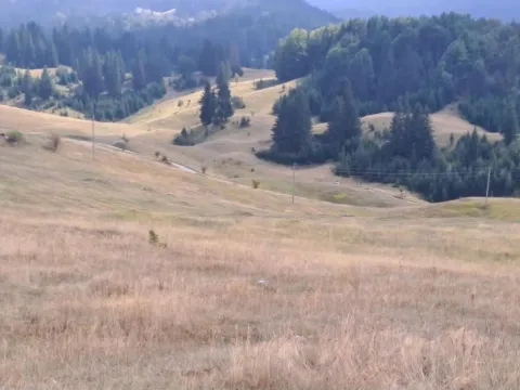 Prodaja, plac, 32700m², Krš, Žabljak - image 2