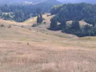 Sale, land lot, 32700m², Krš, Žabljak - image 2