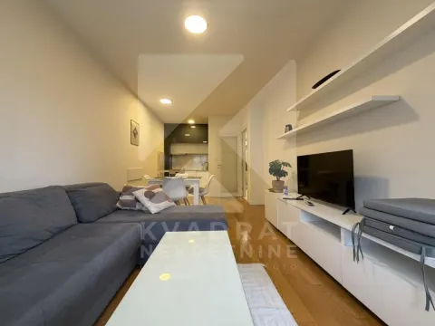 Izdavanje, jednosoban stan, 47m², Central Point, Podgorica - image 3