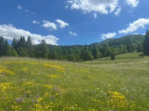 Prodaja, plac, 62000m², Bare Kraljske, Kolašin - image 5
