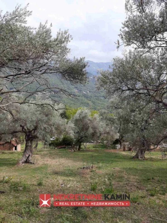 Prodaja, plac, 9000m², Mrčevac, Tivat