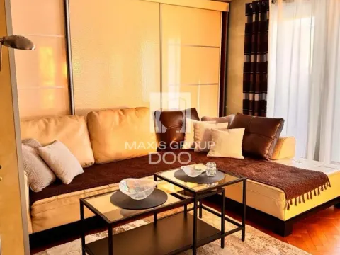 Izdavanje, jednosoban stan, 65m², Vračar Centar, Vračar Sve Podlokacije - image 10