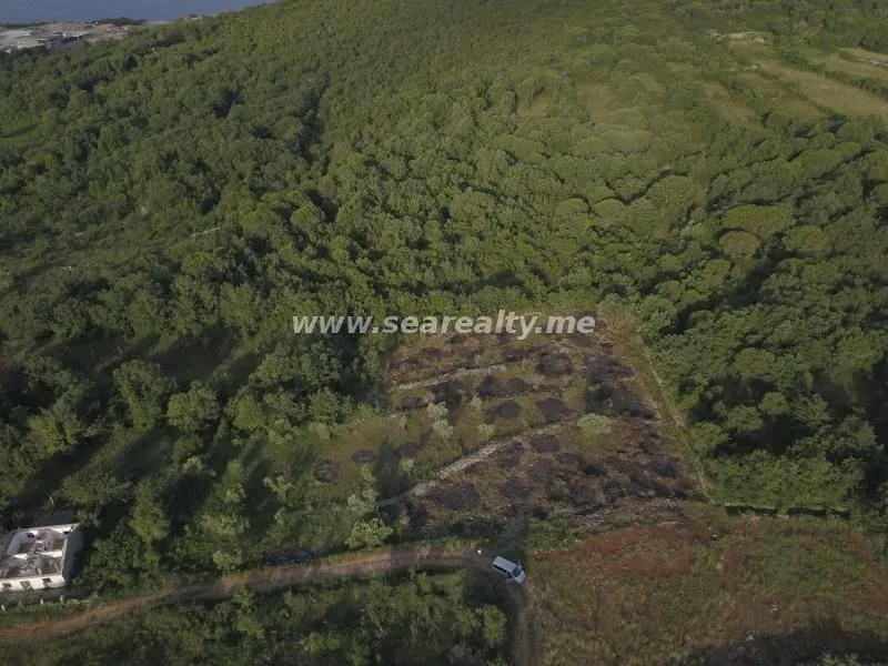 Prodaja, plac, 5600m², Krimovica, Kotor