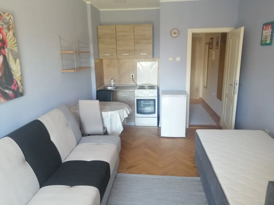 Rent, studio apartment, 26m², Grbavica, Novi Sad Sve Podlokacije
