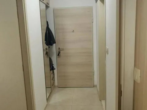 Izdavanje, jednosoban stan, 45m², Zagorič, Podgorica - image 7