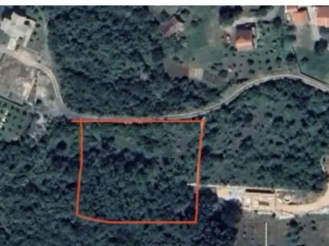 Prodaja, plac, 3000m², Novo Selo, Danilovgrad - image 2