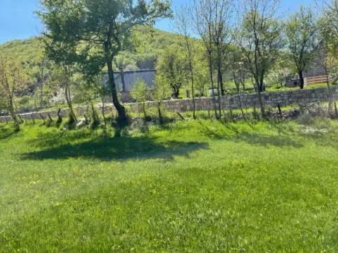 Sale, land lot, 15000m², Seljani, Plužine - image 5