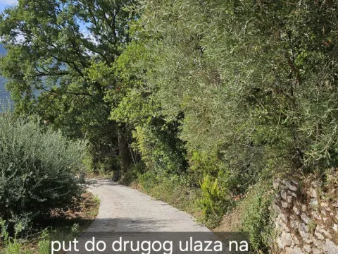 Prodaja, plac, 1843m², Herceg Novi, Crna Gora - image 5