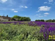 Prodaja, ugostiteljski objekat, 491m², Čenej, Novi Sad Sve Podlokacije - image 6