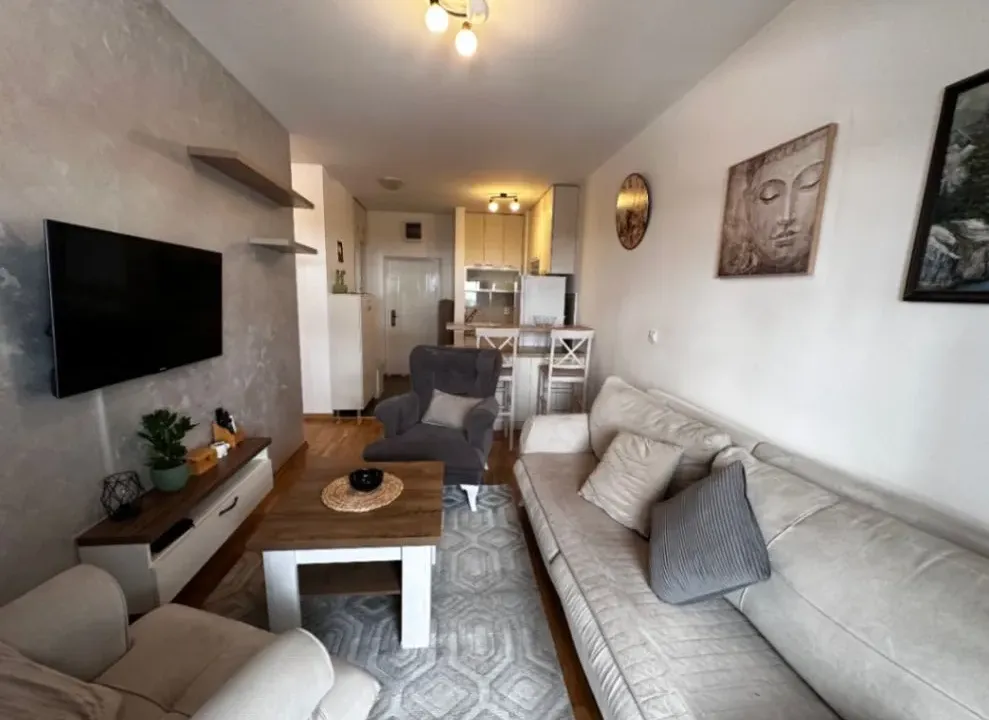 Izdavanje, jednosoban stan, 42m², Tuški Put, Podgorica