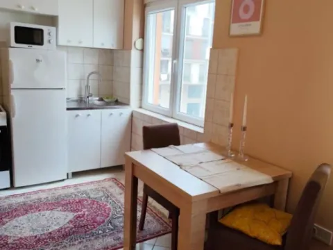 Izdavanje, garsonjera, 23m², Preko Morače, Podgorica - image 5