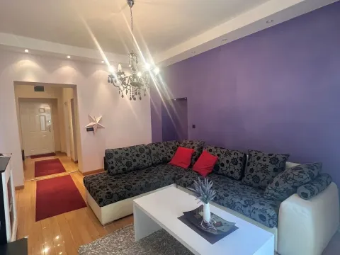 Izdavanje, dvosoban stan, 51m², Vračar Sve Podlokacije, Beograd - image 6