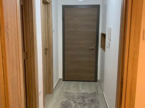 Izdavanje, jednosoban stan, 41m², Zabjelo, Podgorica - image 2