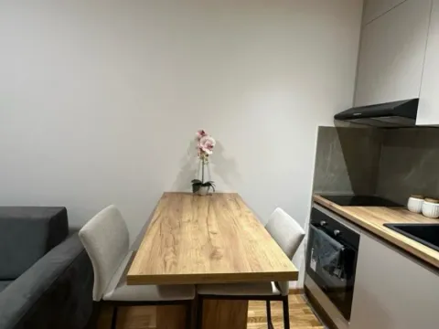 Izdavanje, garsonjera, 24m², Zabjelo, Podgorica - image 5