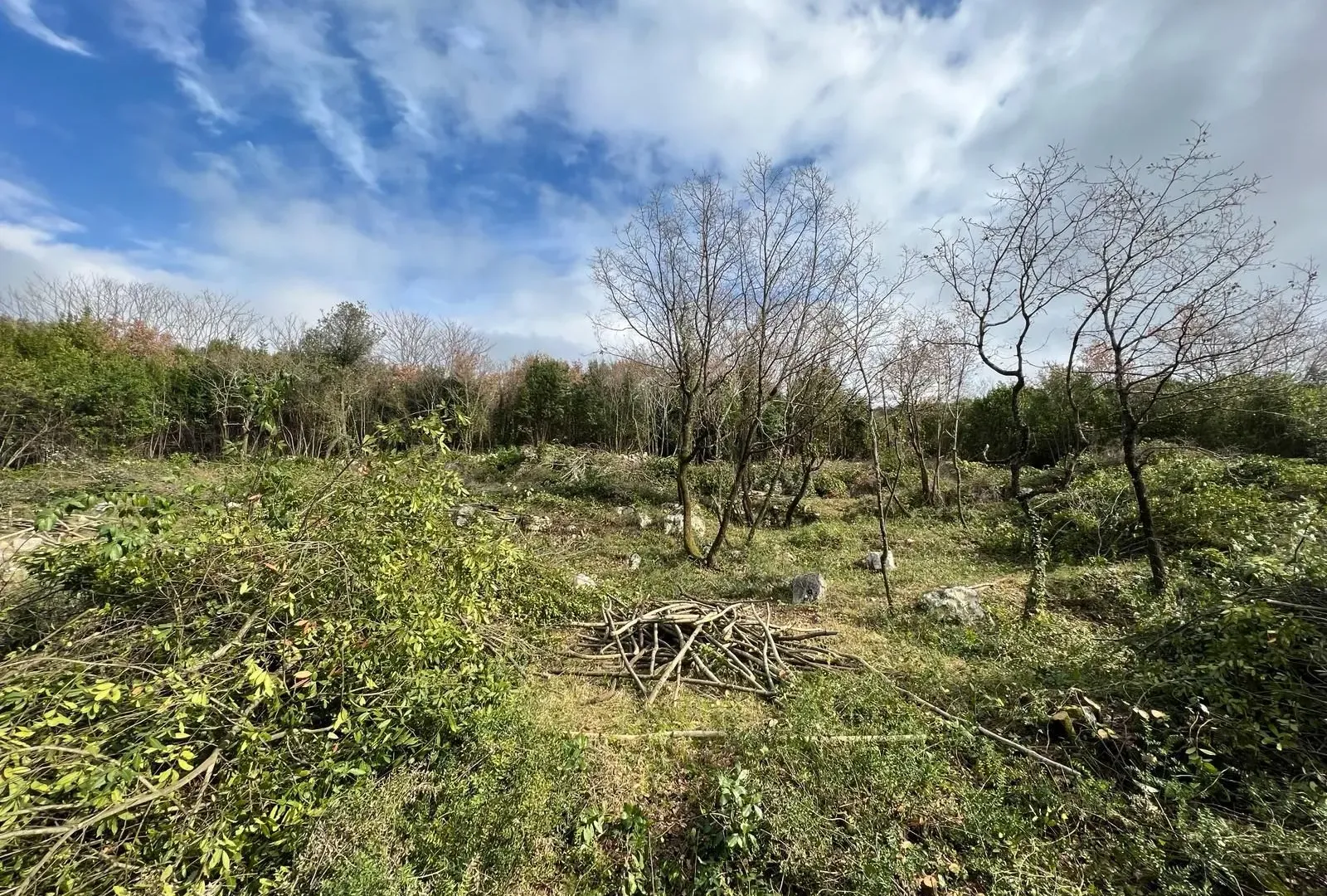 Prodaja, plac, 2488m², Krimovica, Kotor