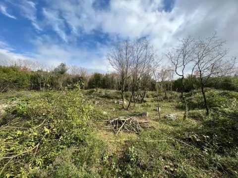Prodaja, plac, 2488m², Krimovica, Kotor - image 3