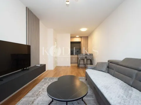 Rent, one bedroom apartment, 47m², Central Point, Podgorica - image 3