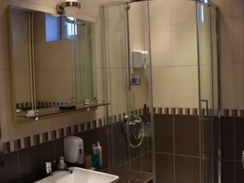 Izdavanje, kuća, 300m², Petrovaradin, Novi Sad - image 10