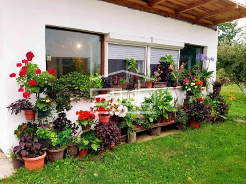 Prodaja, kuća, 120m², Stari Tamiš, Pančevo - image 2