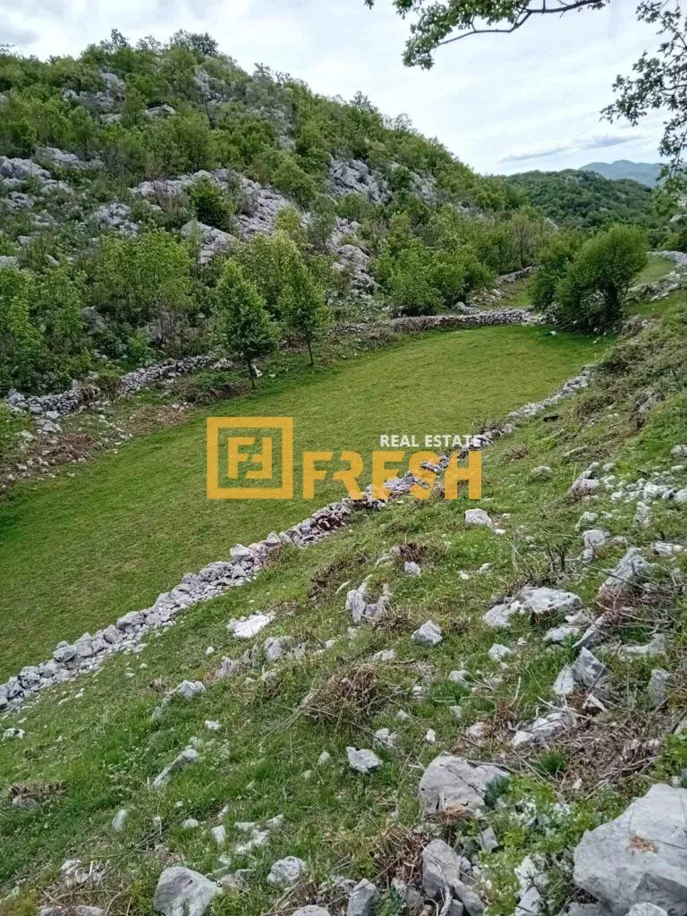 Prodaja, plac, 49212m², Cetinje, Crna Gora