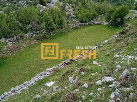 Prodaja, plac, 49212m², Cetinje, Crna Gora - image 3