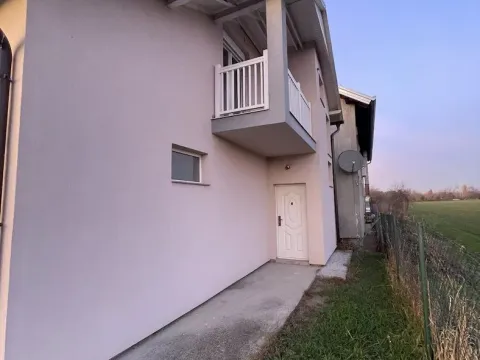 Sale, house, 201m², Veternik, Novi Sad Sve Podlokacije - image 13