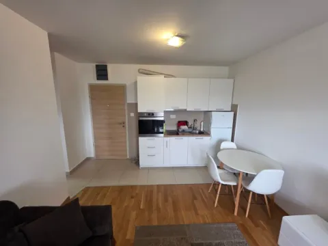 Izdavanje, jednosoban stan, 40m², Zabjelo, Podgorica - image 11