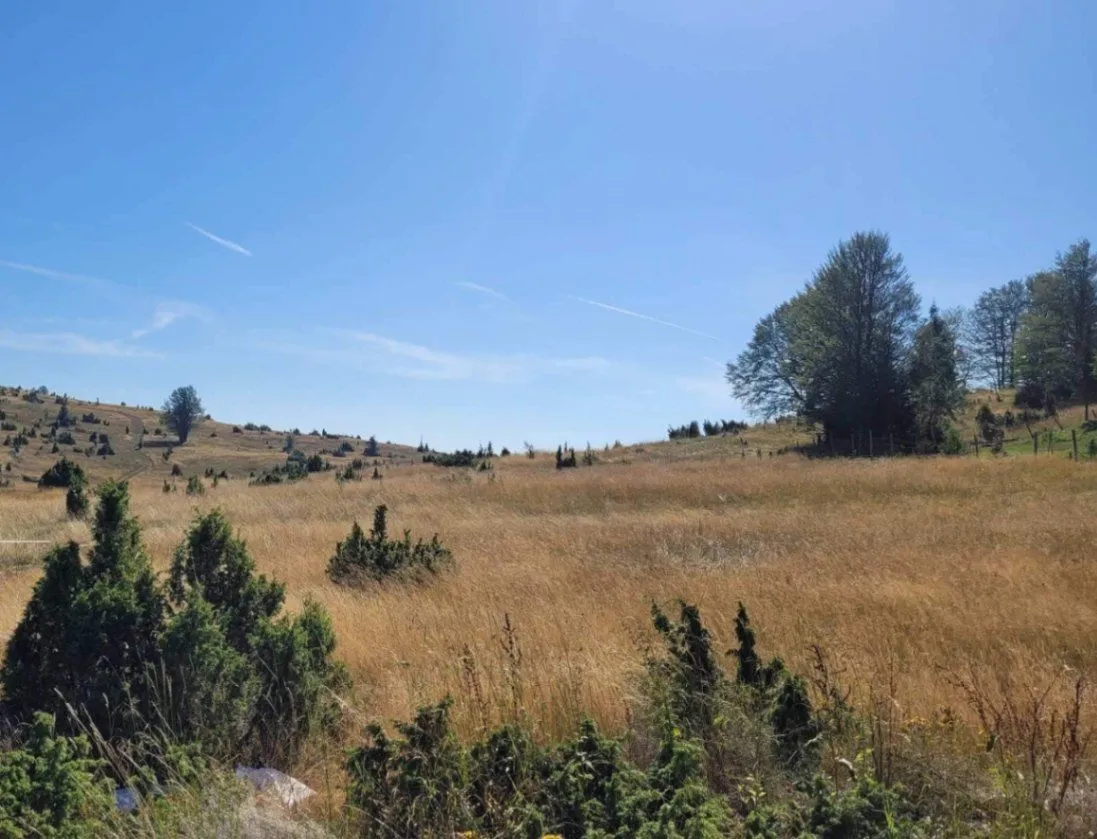 Prodaja, plac, 1134m², Motički gaj, Žabljak