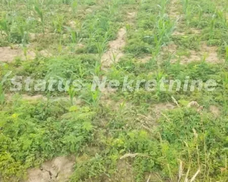 Sale, land lot, 900m², Beočin, Srbija - image 5