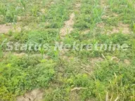 Prodaja, plac, 9m², Beočin, Srbija - image 5