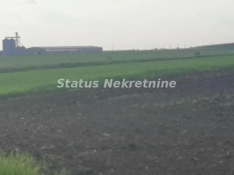Prodaja, plac, 2600m², Kovilj, Novi Sad Sve Podlokacije