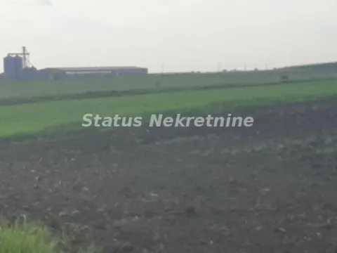 Sale, land lot, 2600m², Kovilj, Novi Sad Sve Podlokacije - image 9