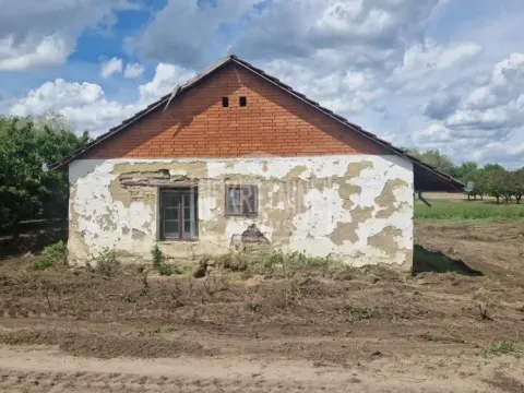 Kuća in Donji Tavankut