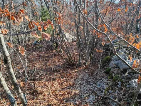 Prodaja, plac, 20937m², Cetinje, Crna Gora - image 2