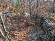 Prodaja, plac, 20937m², Cetinje, Crna Gora - image 2