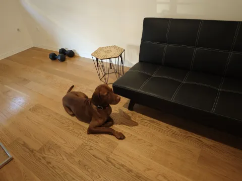 Dnevna soba sa crnim kaučem i drvenim podom. - image 13