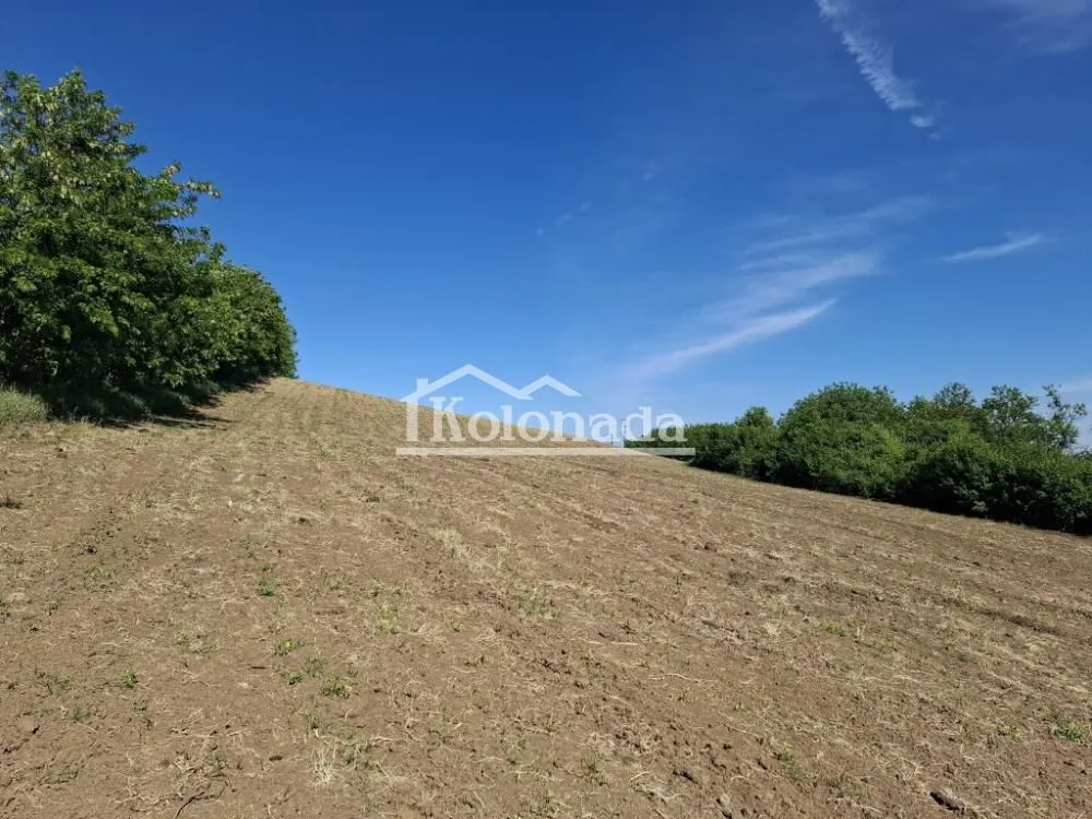 Prodaja, plac, 12201m², Sopot, Beograd